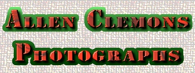 Allen Clemons Photographs
